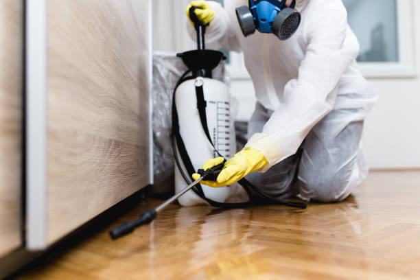 Best Mosquito Control Services  in Broussard, LA