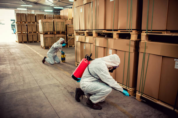 Best Cockroach Control Services  in Broussard, LA