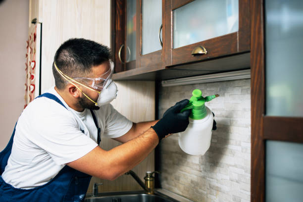 Best Flea Control Services  in Broussard, LA