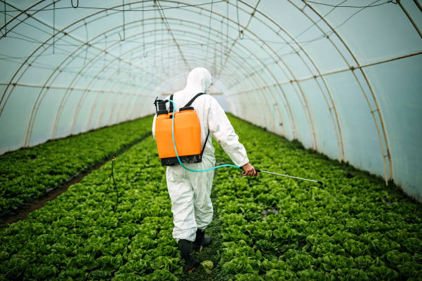 Pest Prevention Services in Broussard, LA