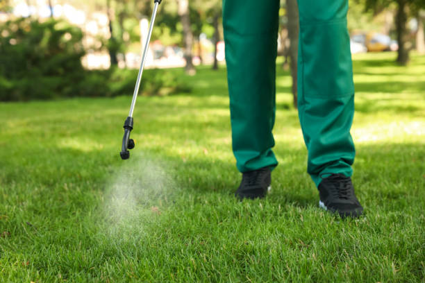 Best Insect Control  in Broussard, LA