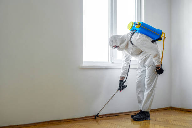 Best Pest Prevention Services  in Broussard, LA