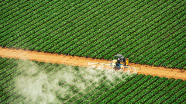 Best Pest Control for Homes  in Broussard, LA