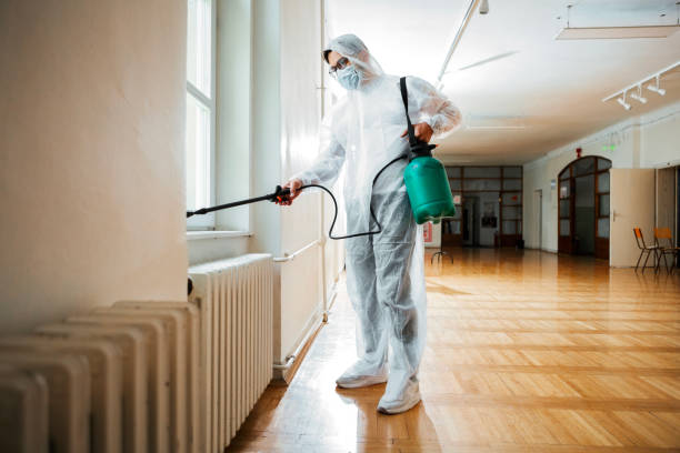 Best Pest Removal Services  in Broussard, LA